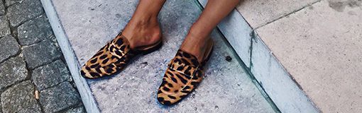 Lookbooks