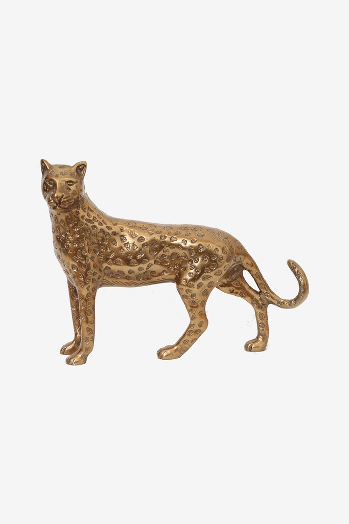 Sissy-Boy Goudkleurige Leopard
