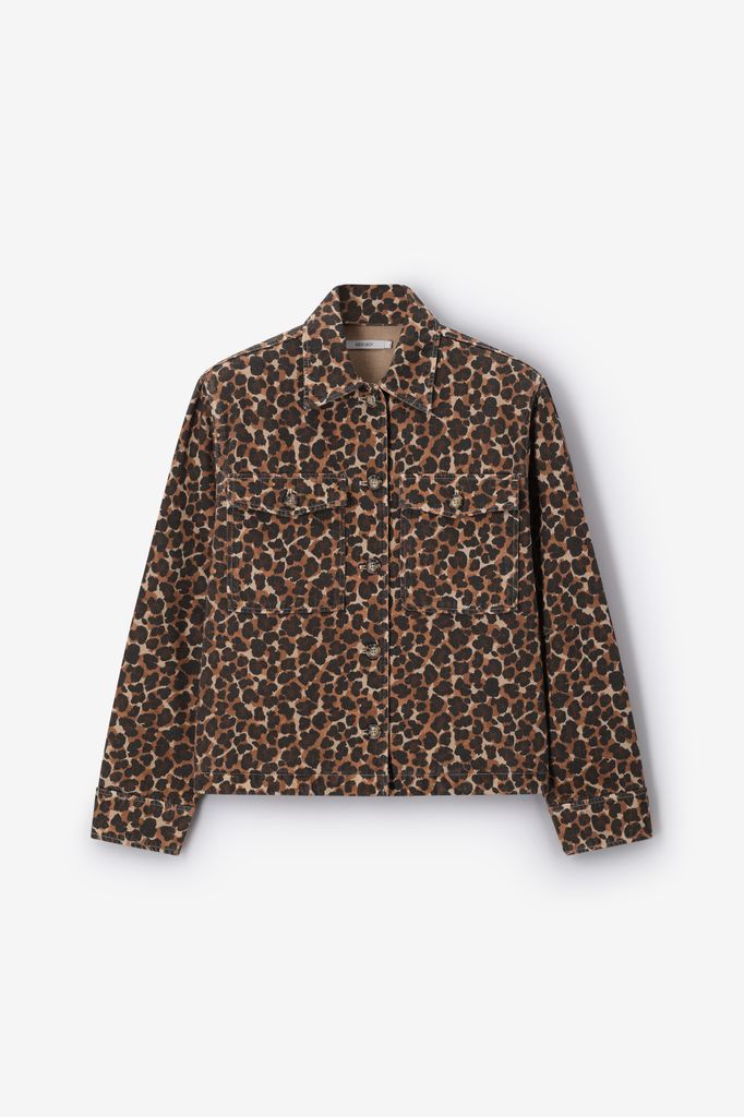 Sissy-Boy Bruin Leopard Jack