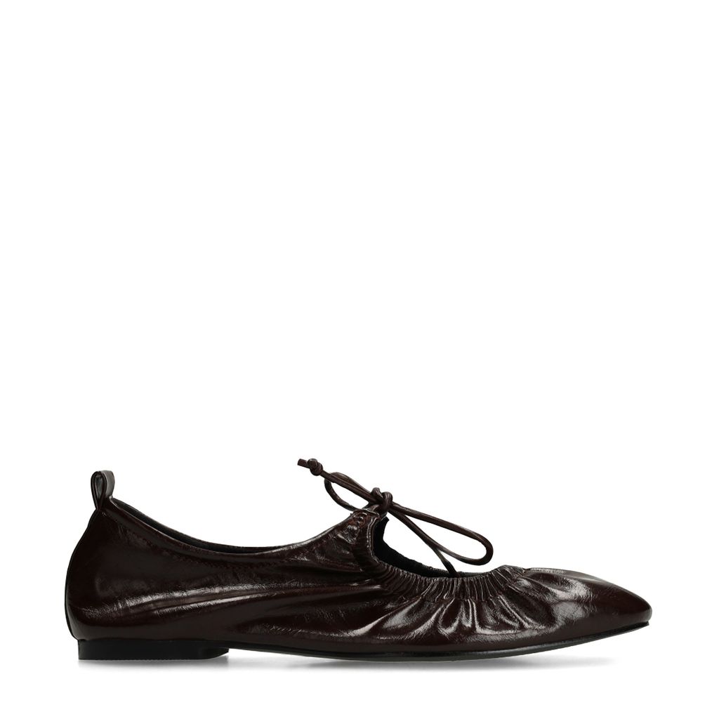 Sacha Bruine Ballerina's Met Veters