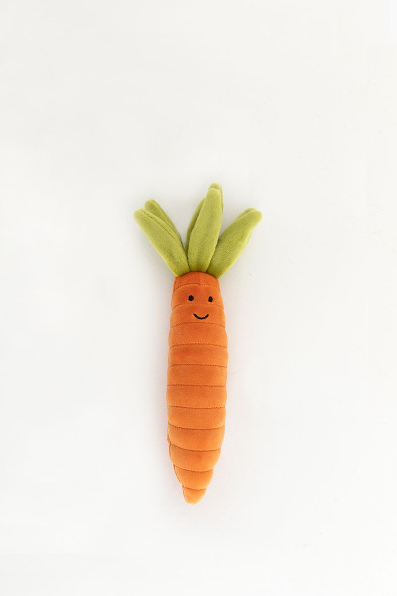 Vivacious Vegetable Wortel