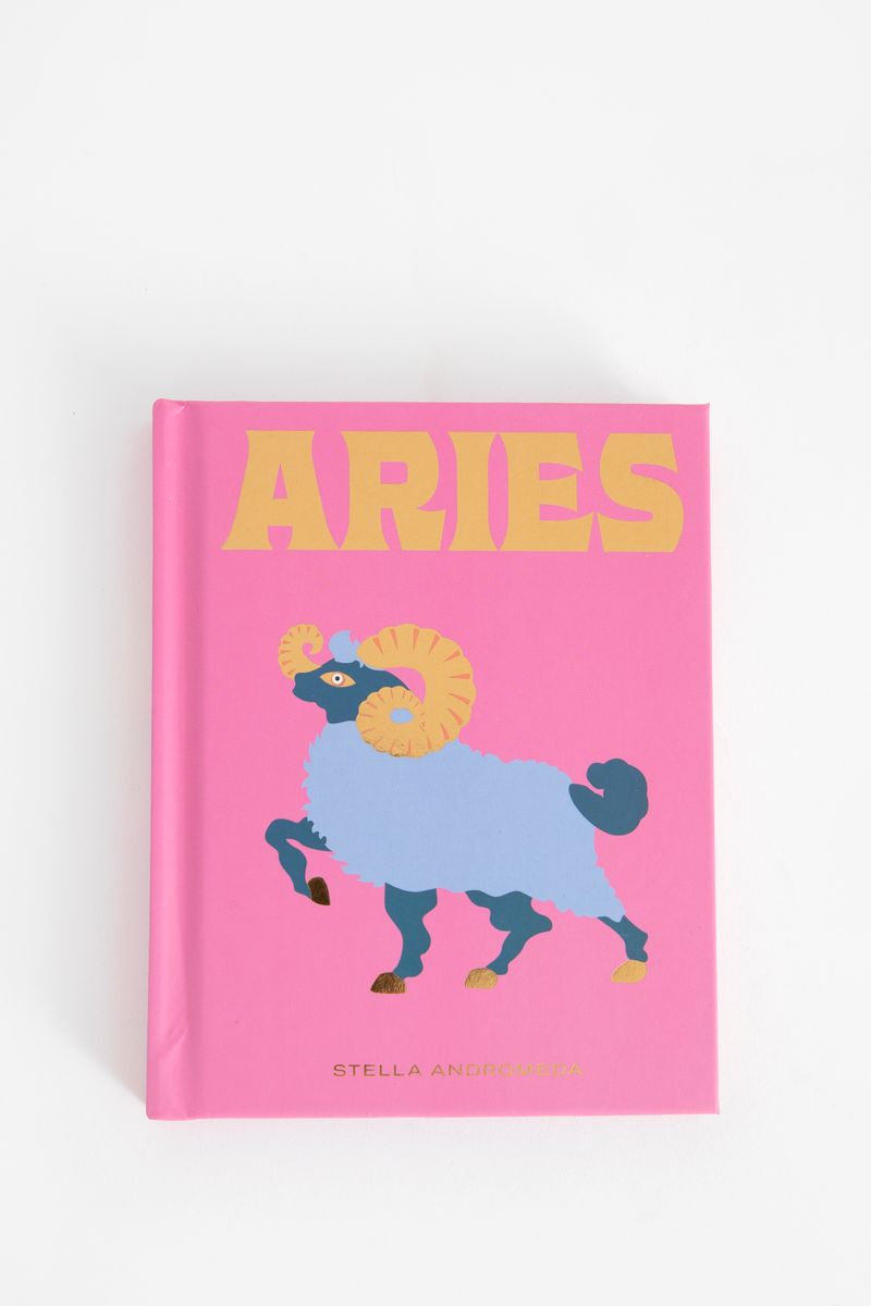 Boek Seeing stars Aries