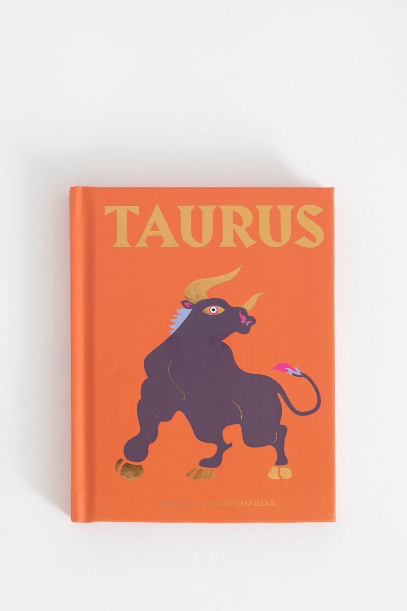 Boek Seeing stars Taurus