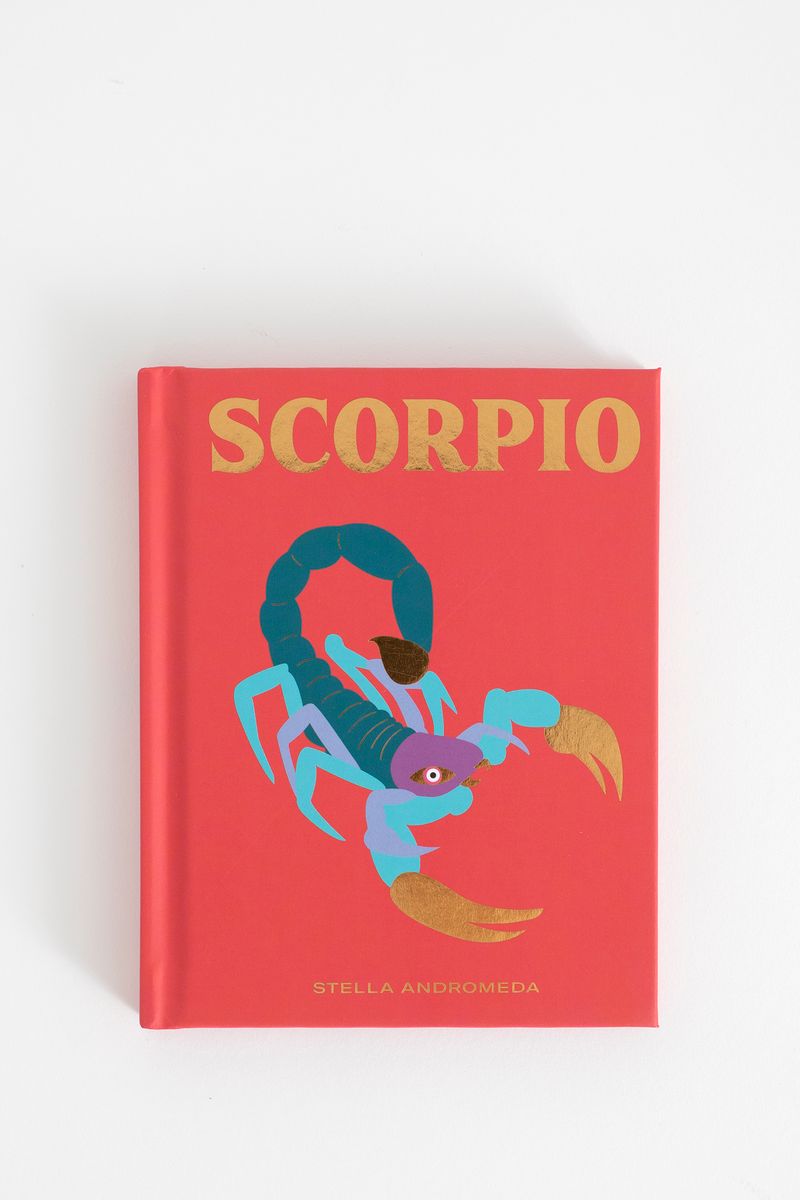 Boek Seeing stars Scorpio