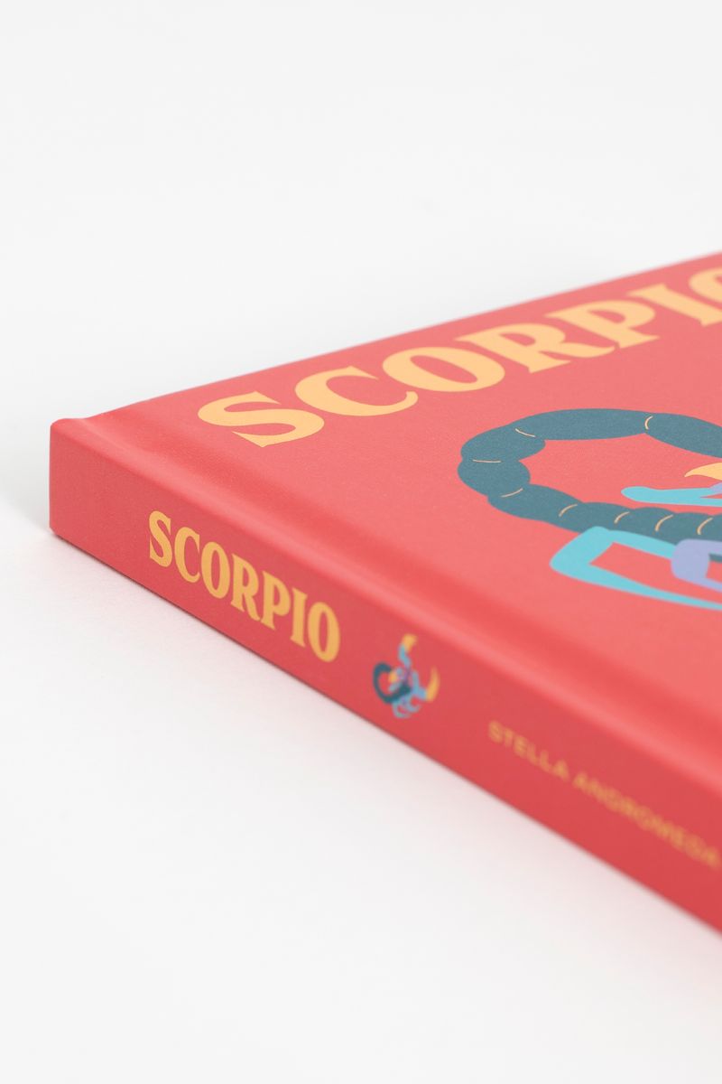 Boek Seeing stars Scorpio