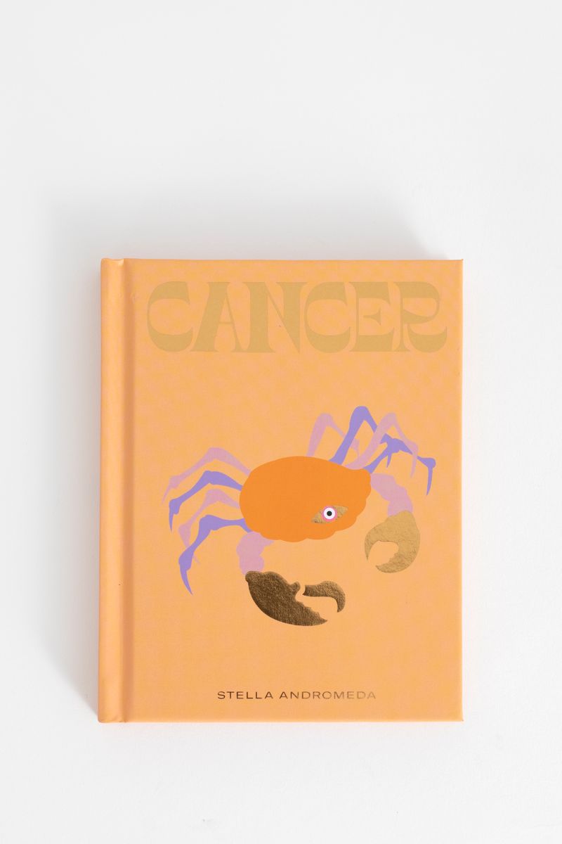 Boek Seeing stars Cancer