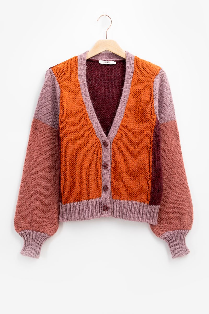 Gebreid Colourblock Vest Met Knopen