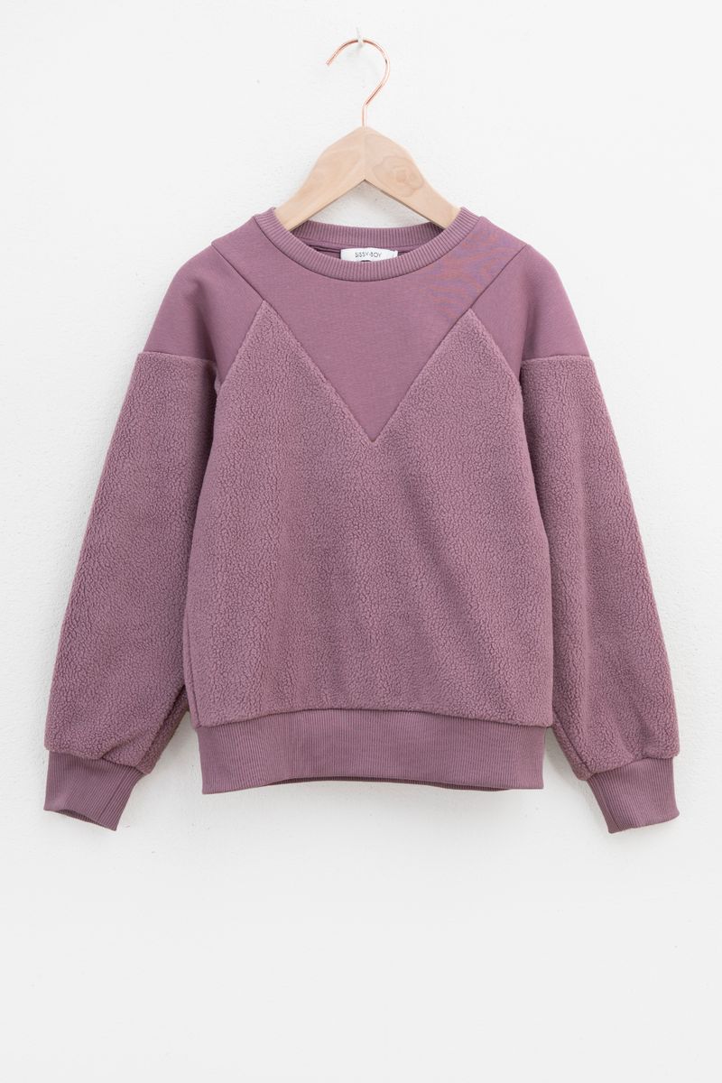 Paarse Sweater Met Teddy