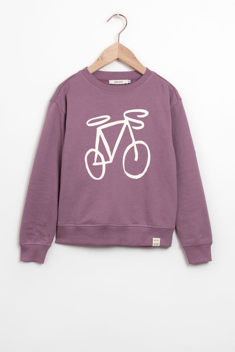 Paarse Sweater Met Fiets