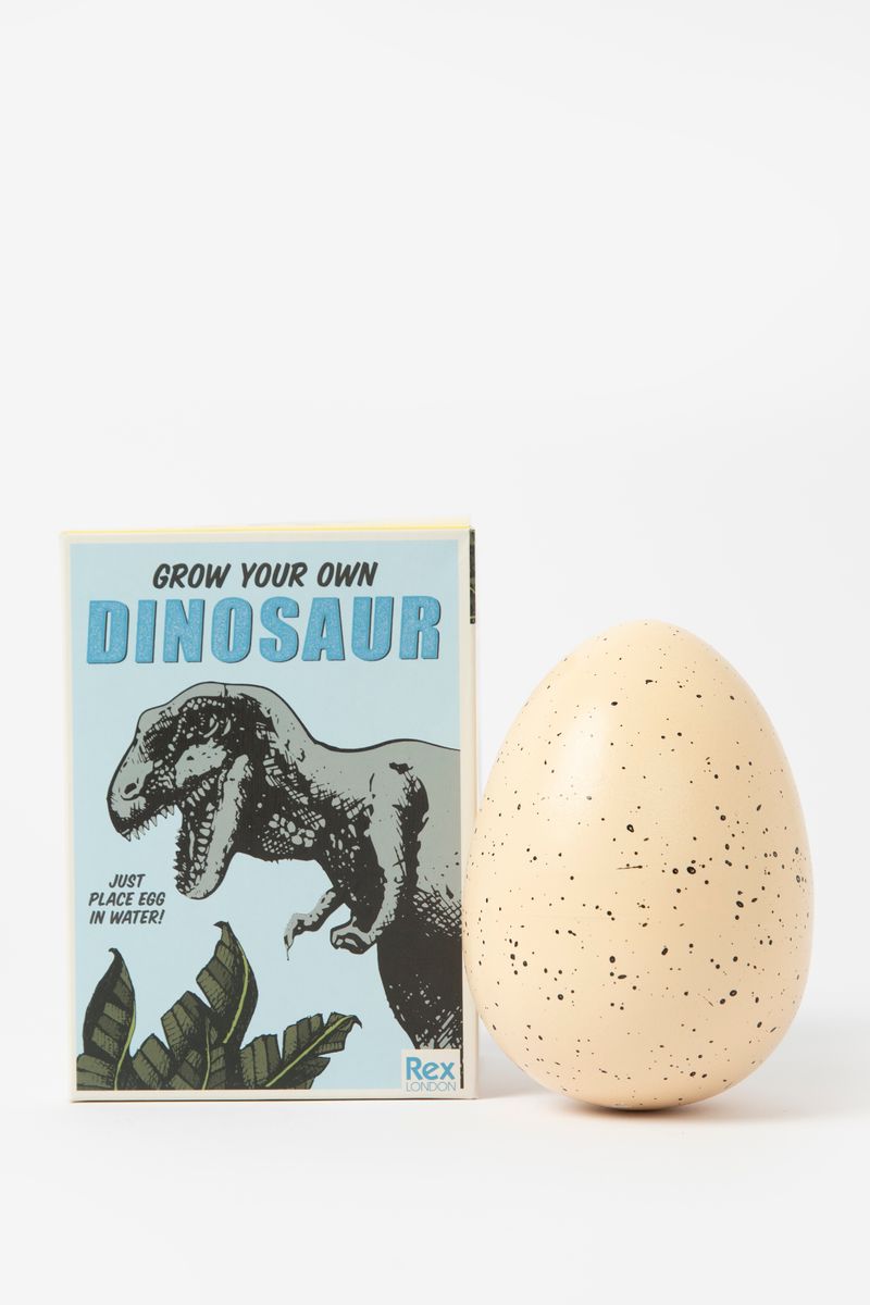 Rex London grow your own dinosaur