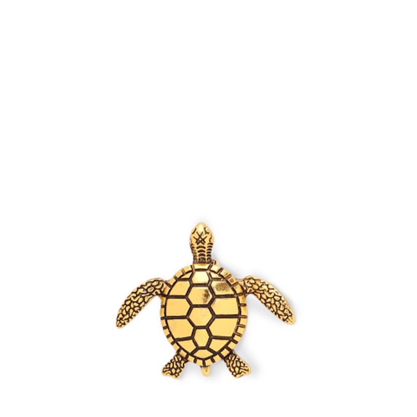 Goudkleurige schildpad broche