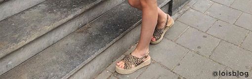 Lookbooks