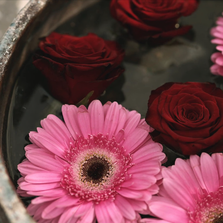 nieuwe collectie 2021