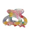 Multicolor haarclip